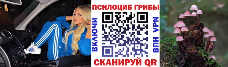 Галлюциногенные грибы Cubensis  Купить где  Южно-Сахалинск 